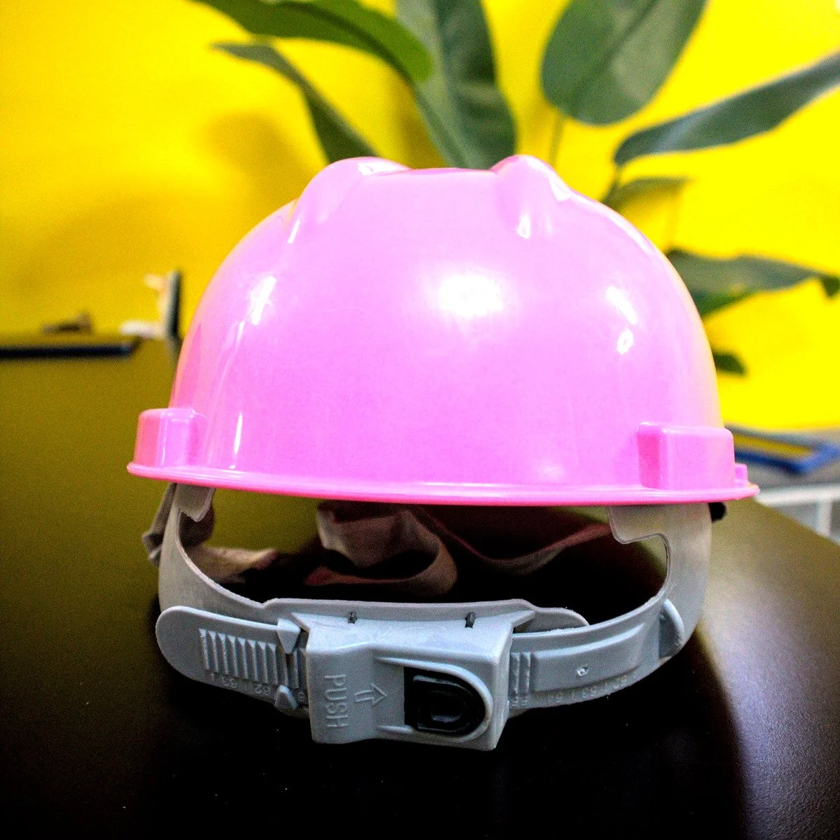 pink_rear.jpg