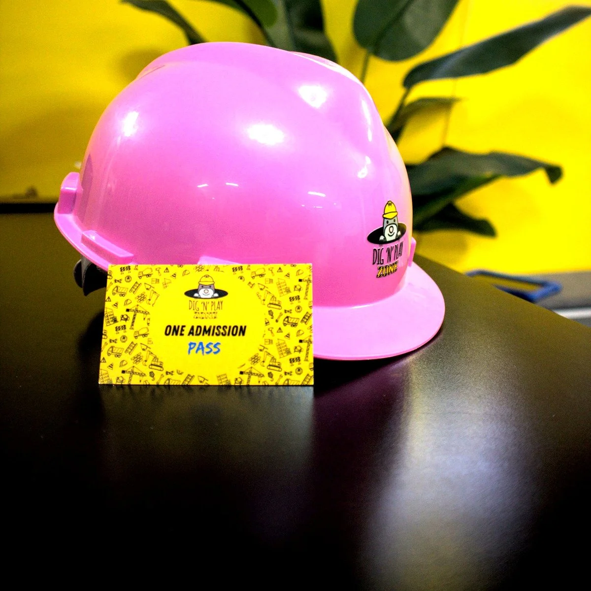 pink_with_pass.jpg
