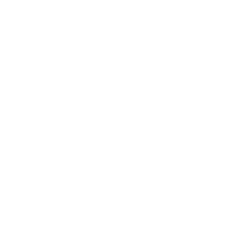 ssi-logo.webp