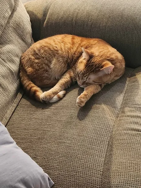 20241104_112355 (1).webp