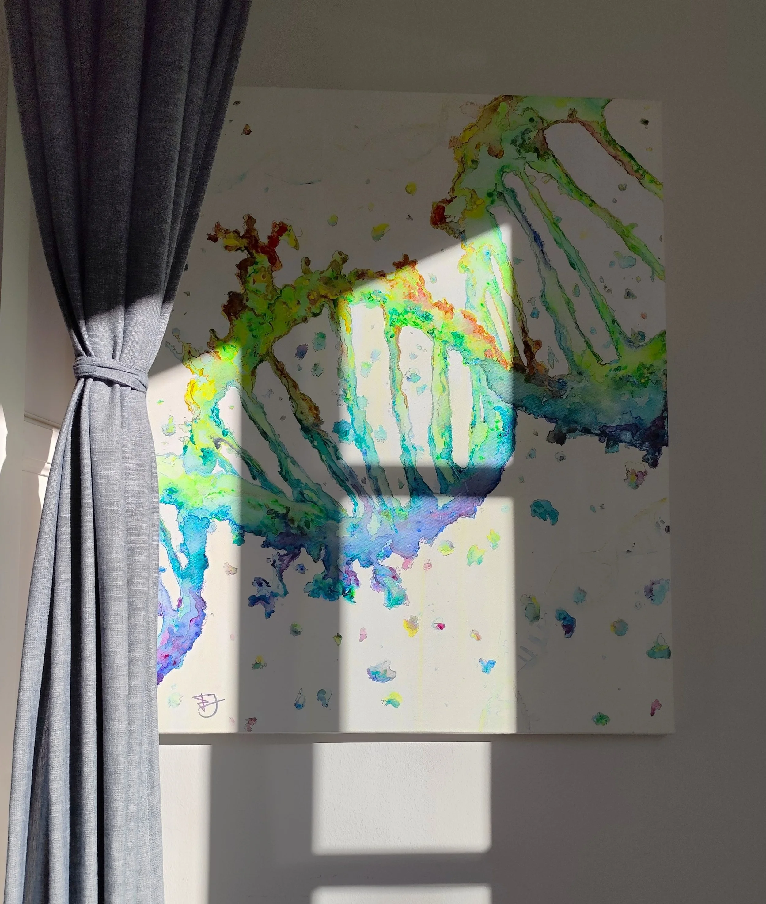 Window Photo.jpg