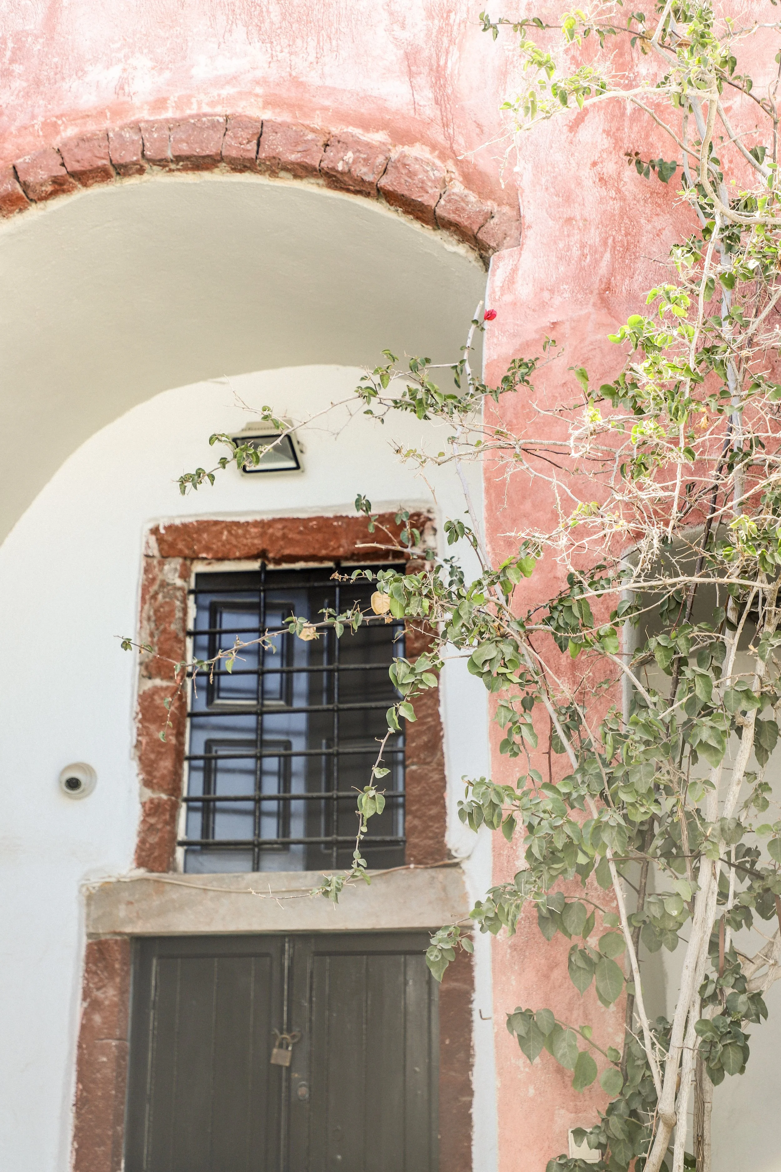 Photo Jul 03, 8 20 15 AM.jpg