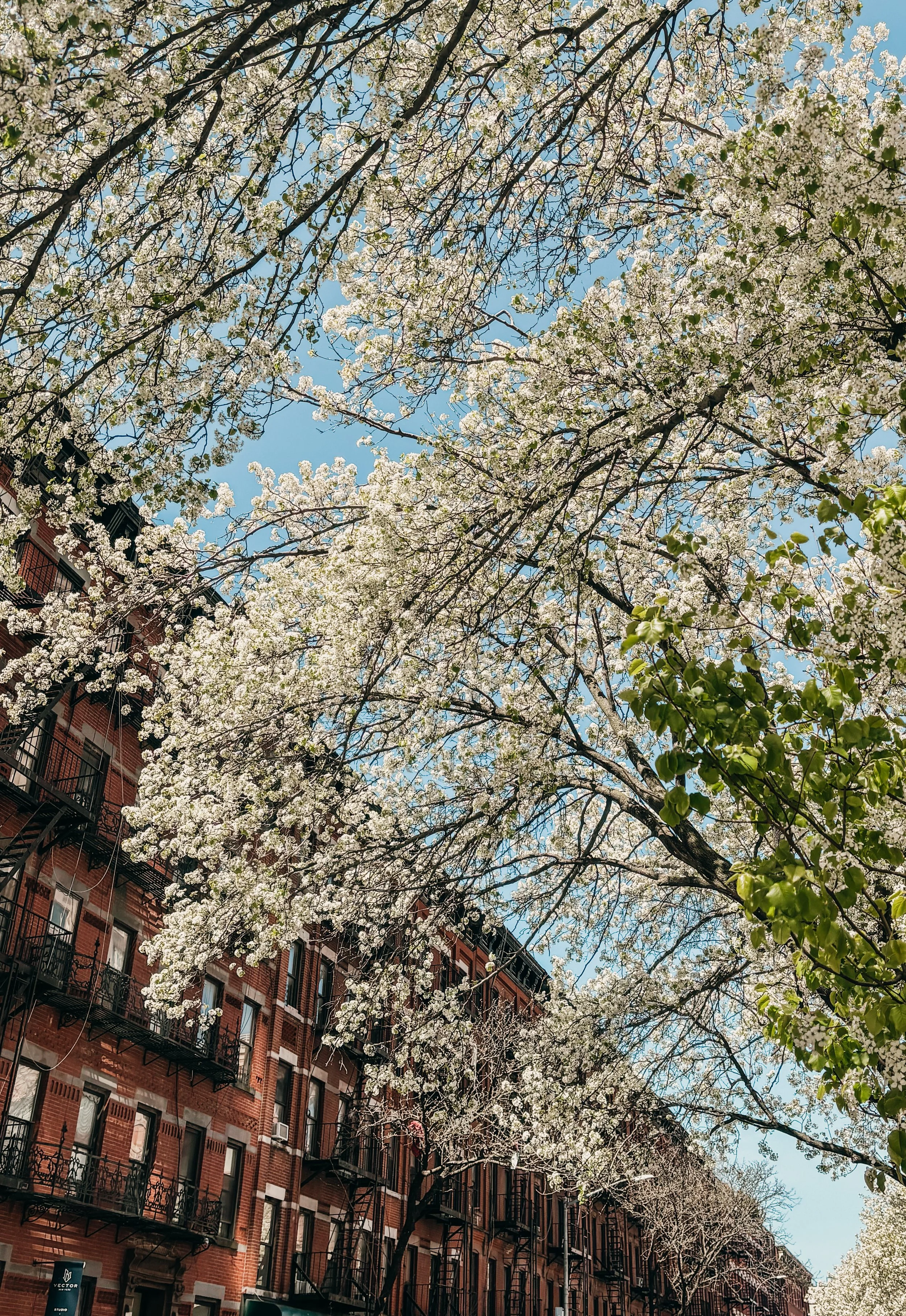 NYC In a New York Minute 