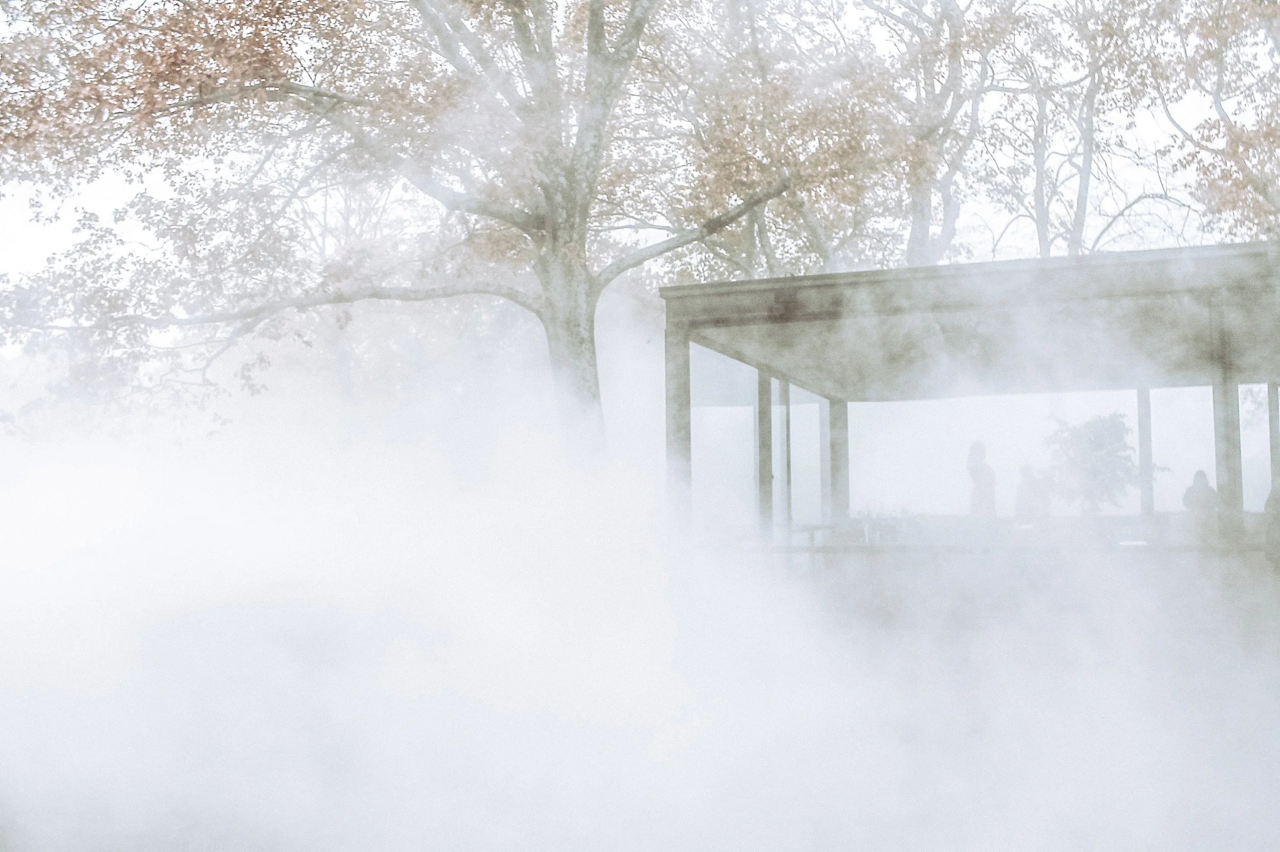 Photo Nov 06 2014, 1 40 14 PM.jpg