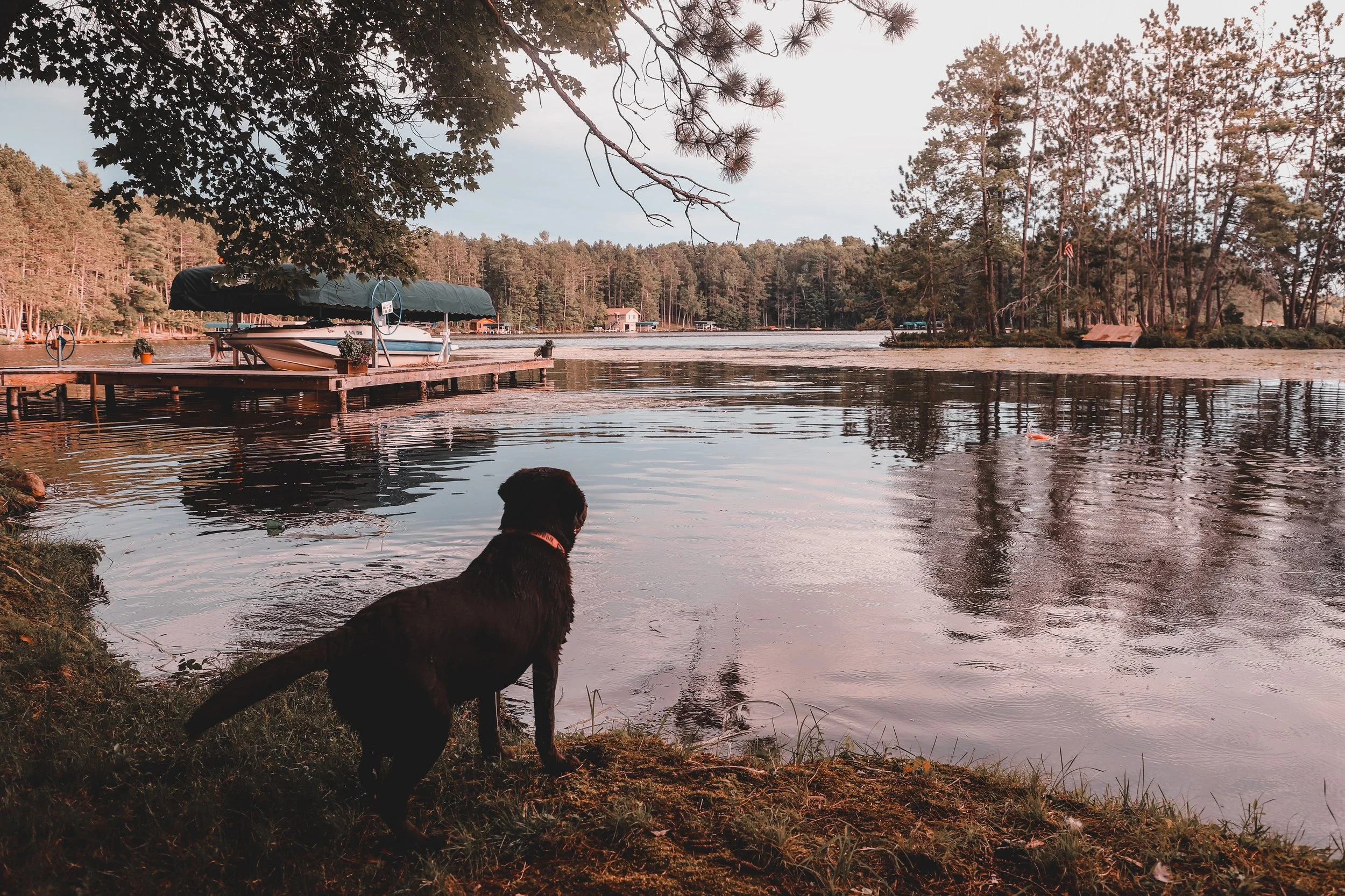 Photo Aug 16 2022, 7 53 57 PM.jpg