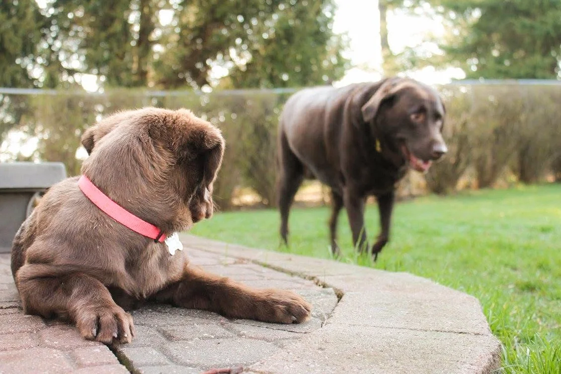 Photo Feb 02 2025, 9 18 36 PM.jpg