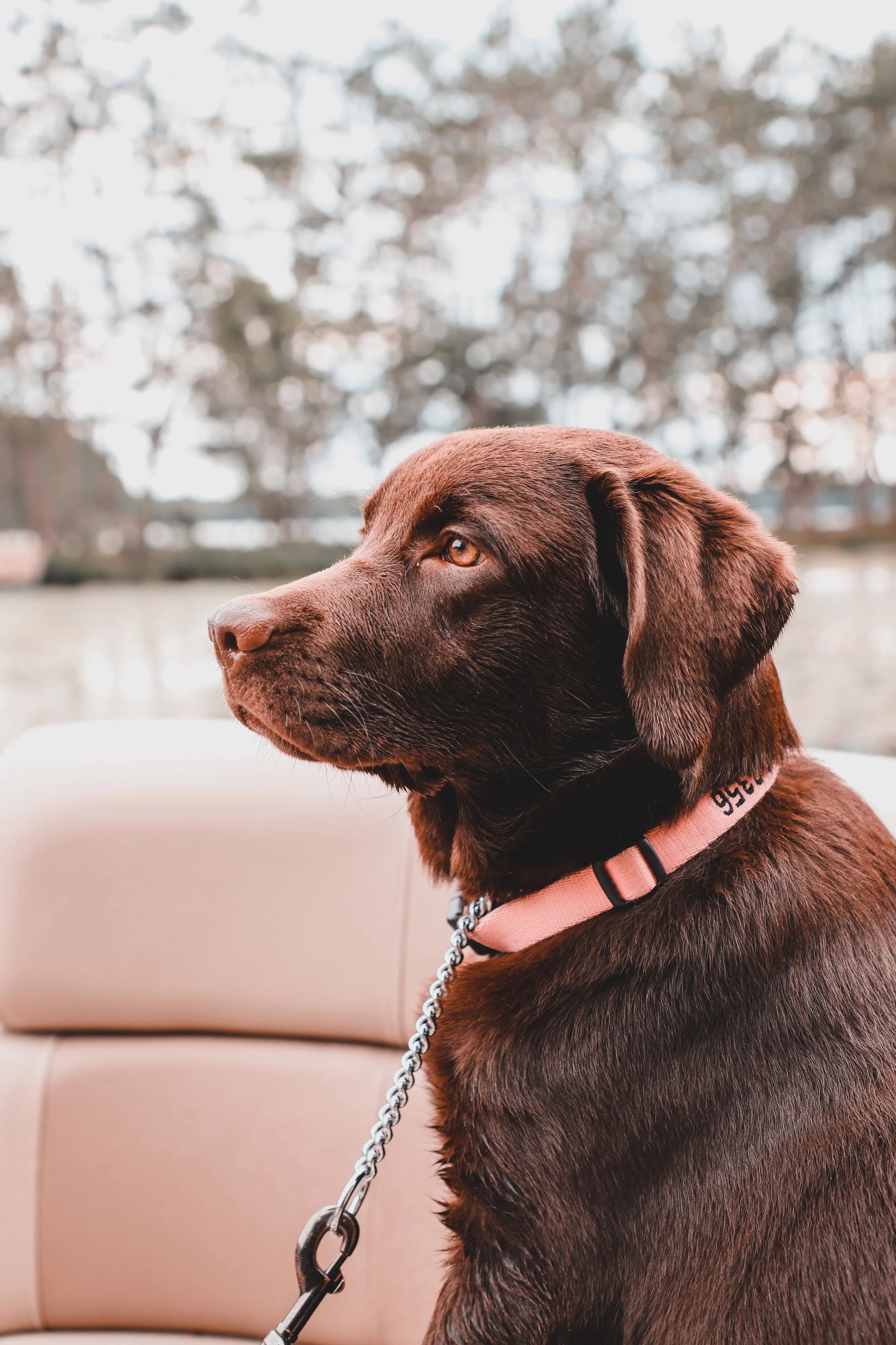 Photo Aug 16 2022, 6 18 13 PM (2).jpg