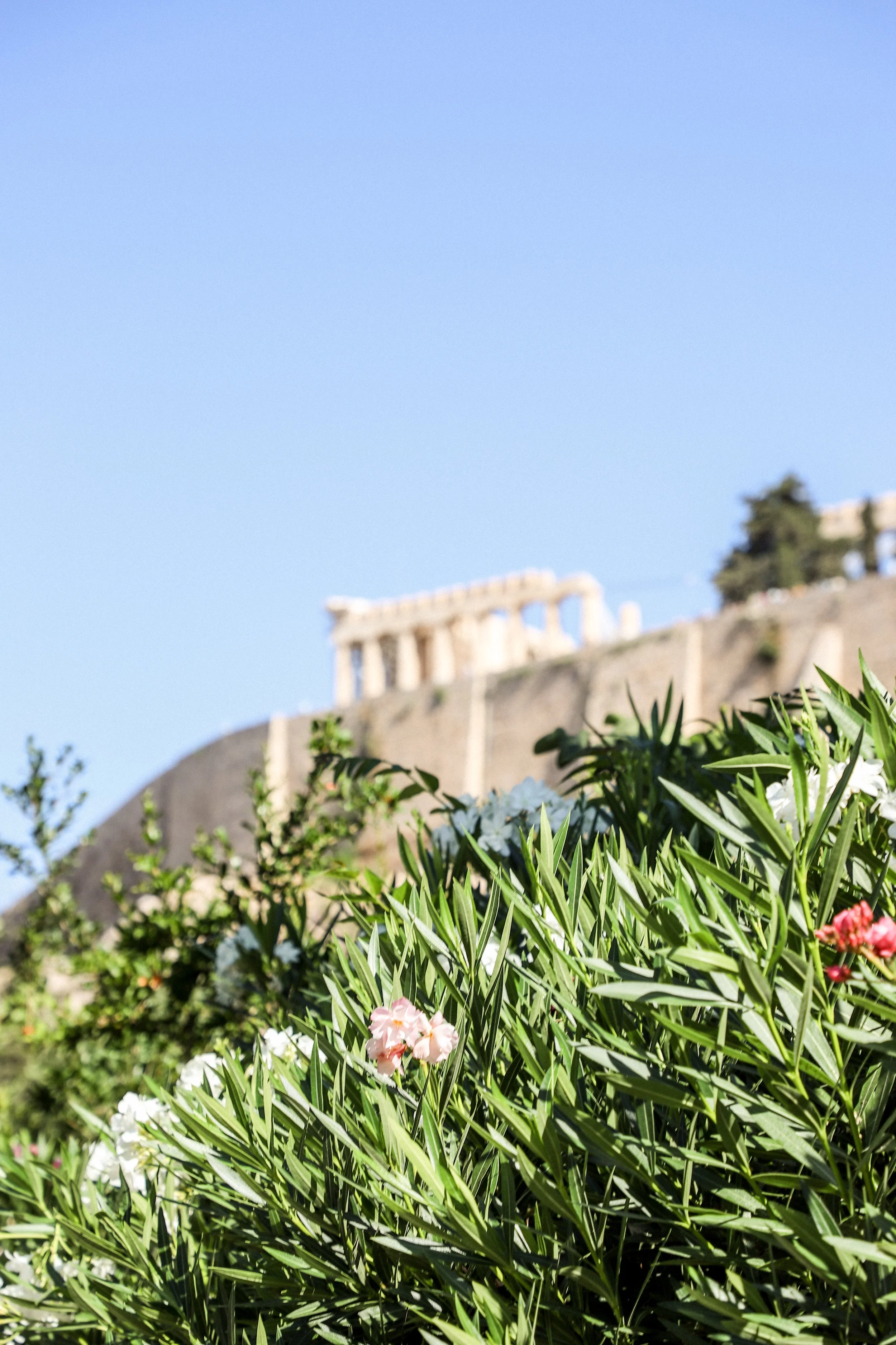 Photo Jun 30, 2 52 28 AM.jpg