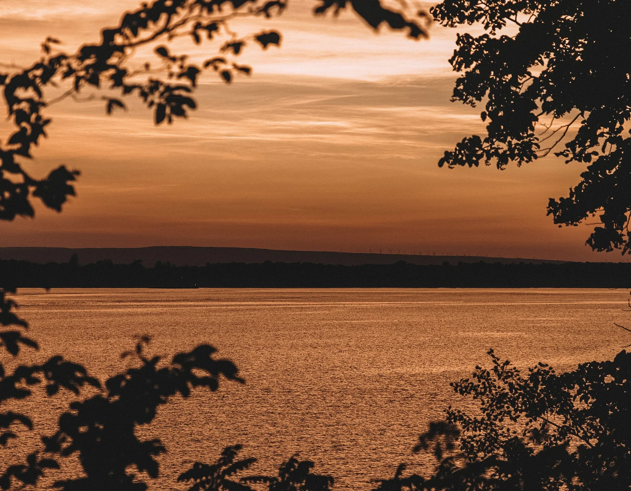 Photo Jul 18 2019, 8 40 38 PM.jpg