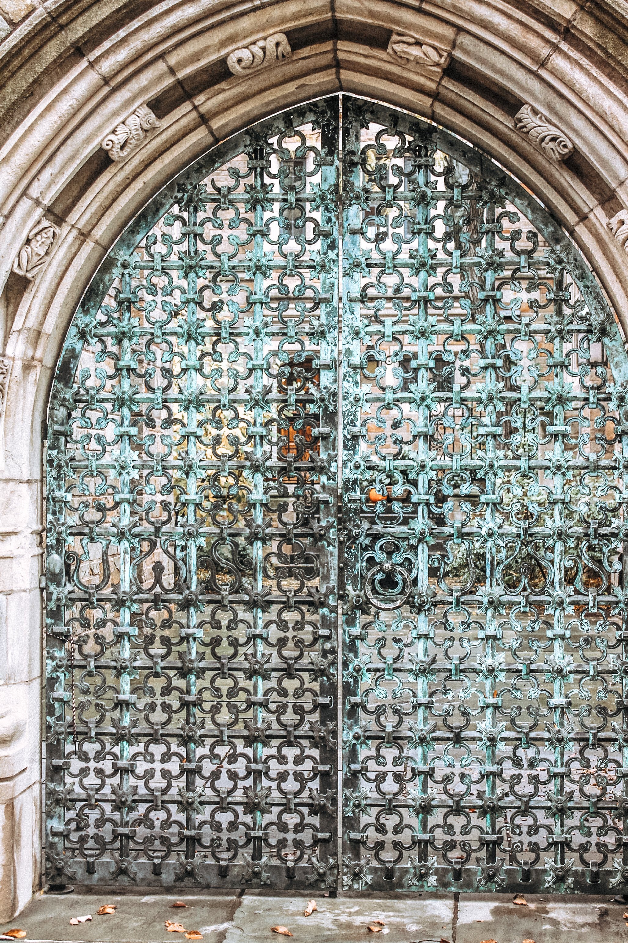 Photo Nov 06 2014, 10 43 37 AM.jpg