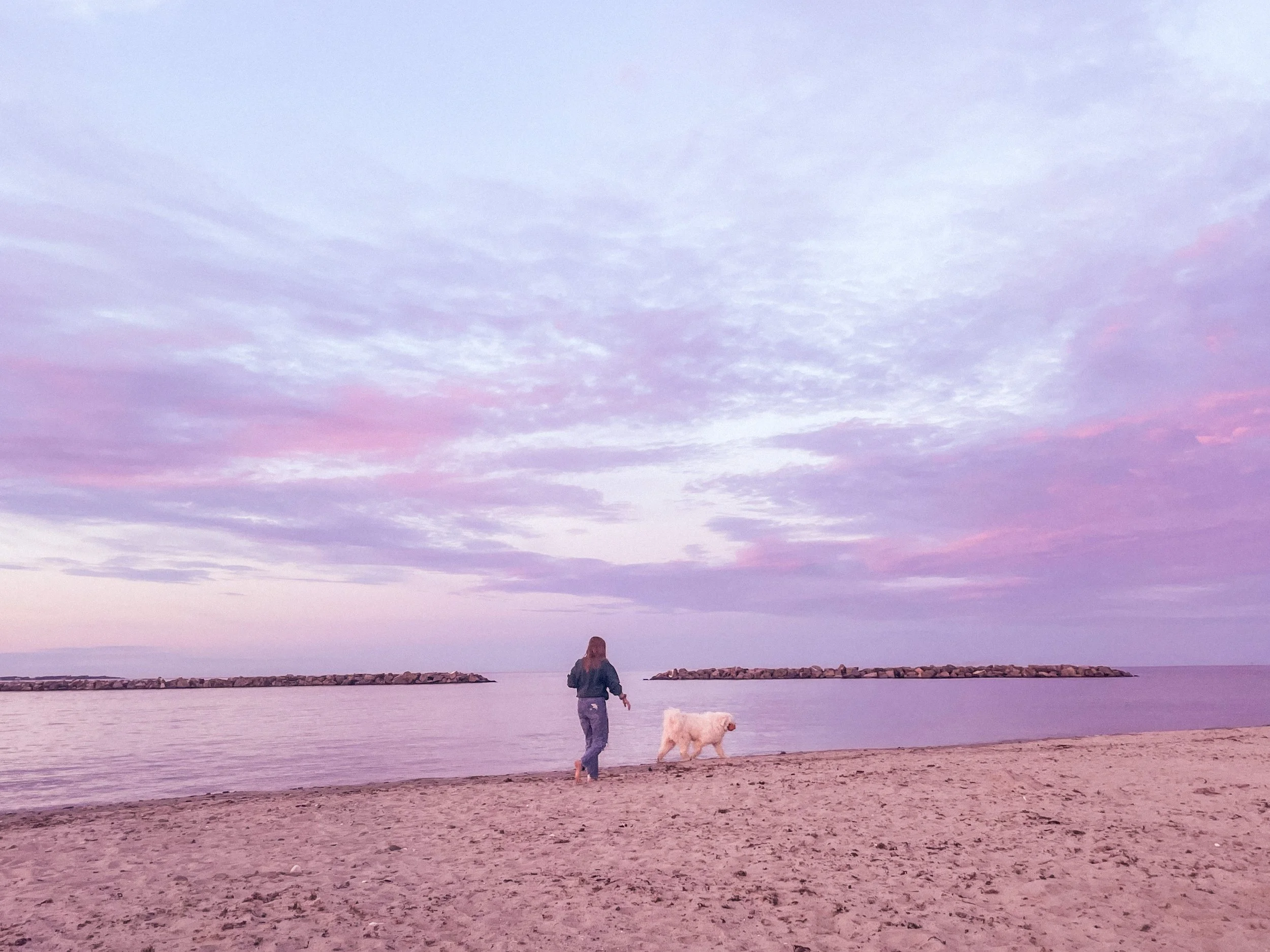 Photo Jun 11 2022, 8 25 24 PM.jpg