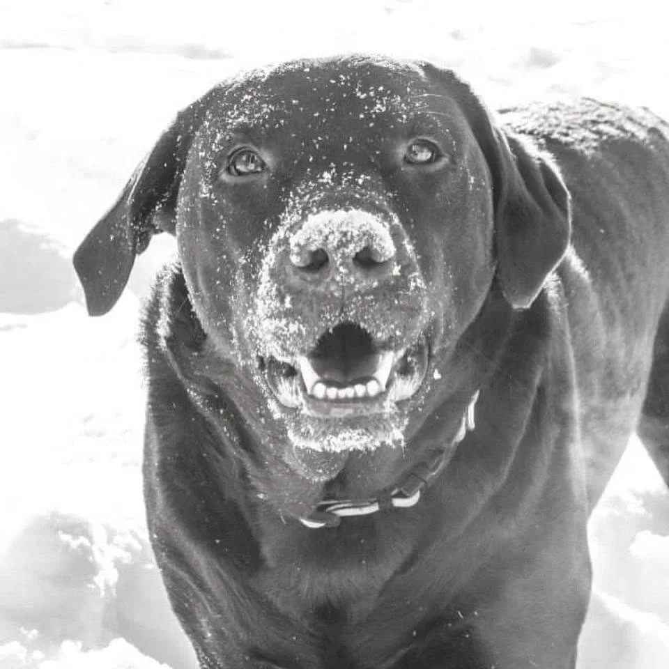 Photo Nov 15 2024, 4 40 39 PM.jpg