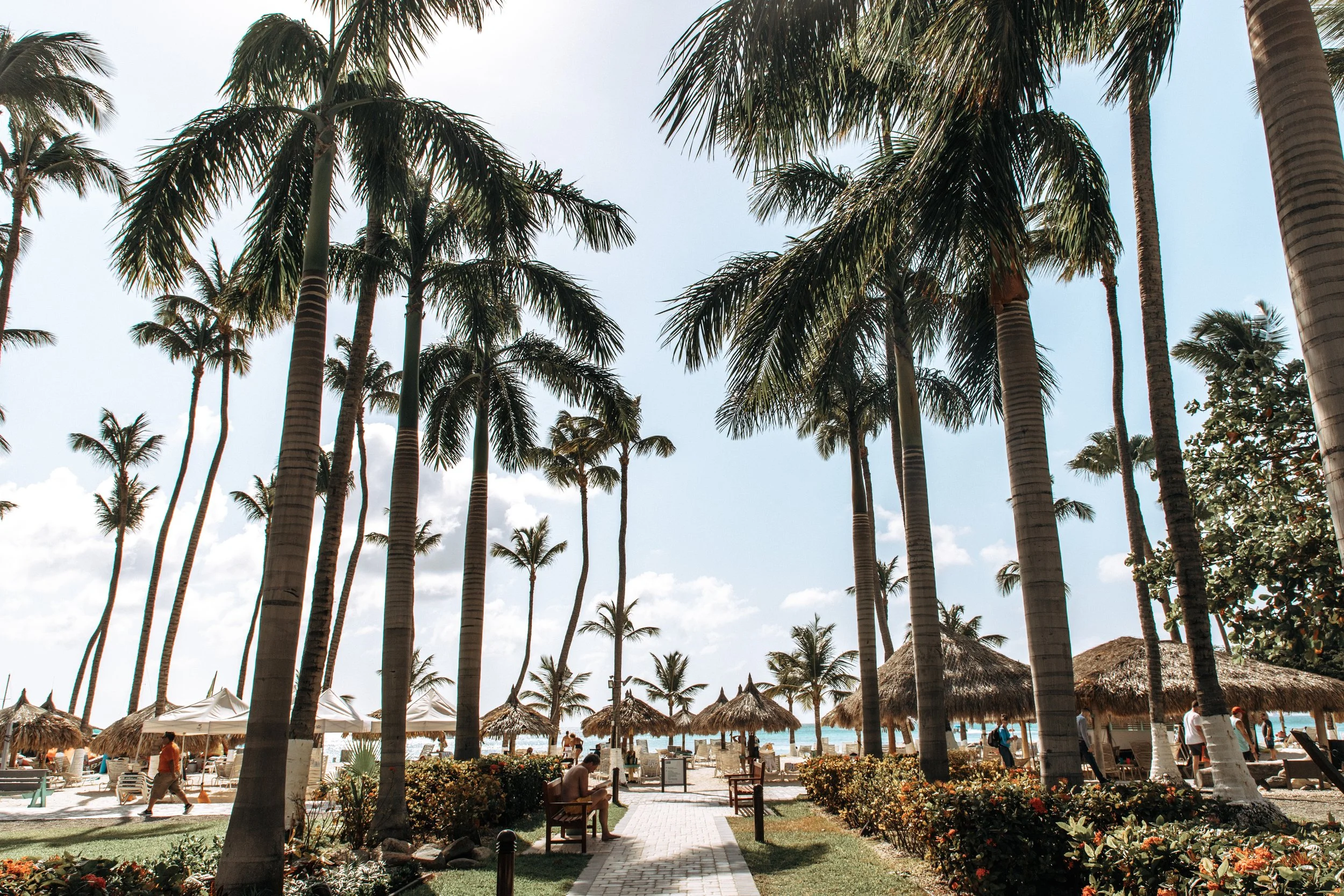 Photo Mar 15 2019, 3 28 31 PM.jpg