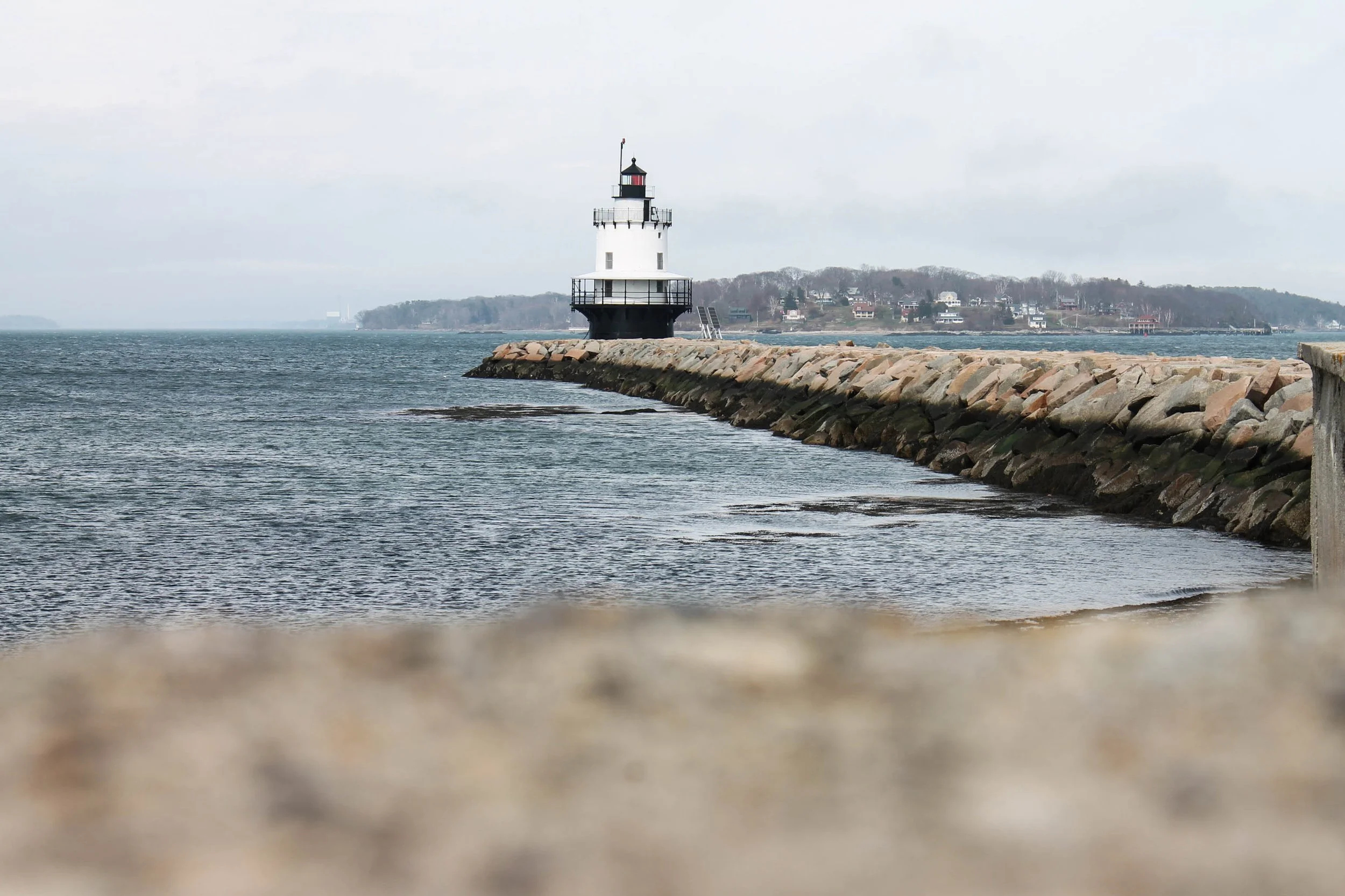 Photo Apr 01 2016, 1 56 38 PM.jpg