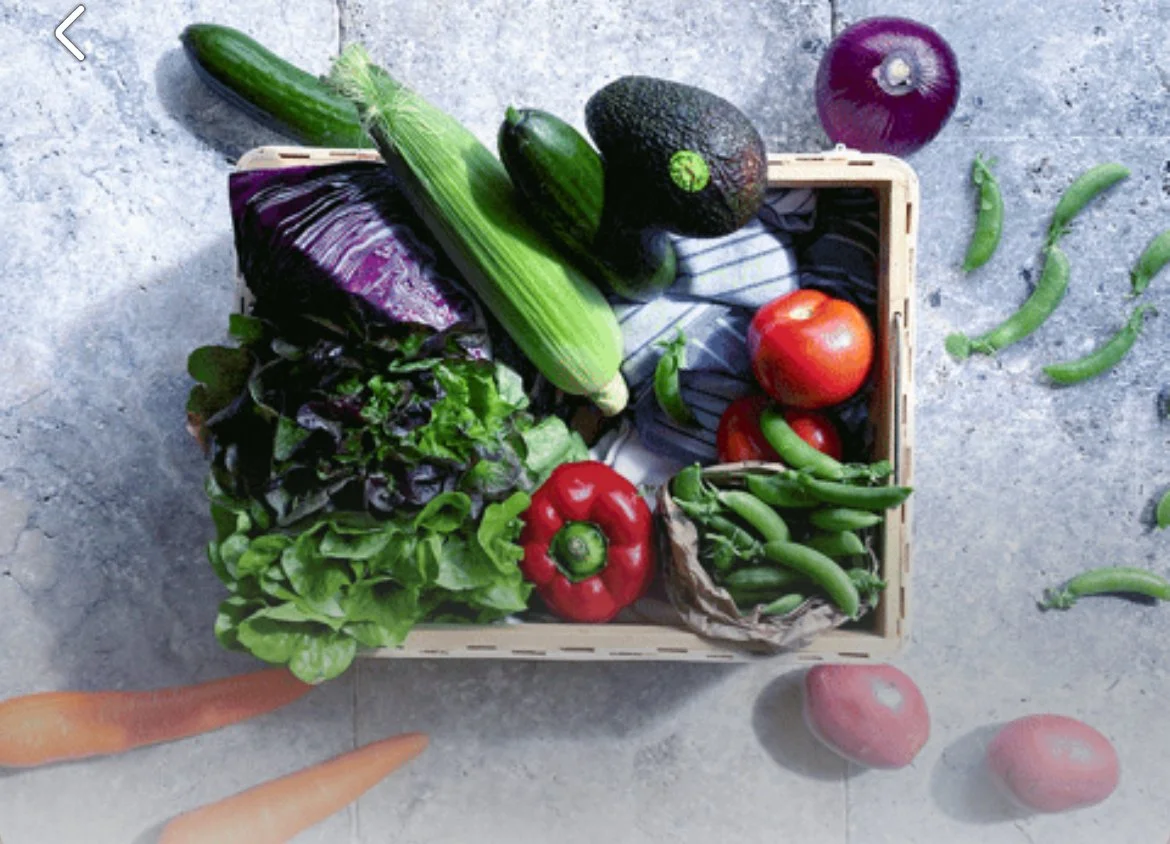 Gardening Workshop: Intro to Vegetable Gardening