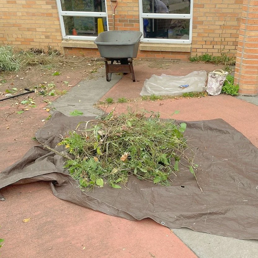 BMNA - RMS School Project - 13.jpg
