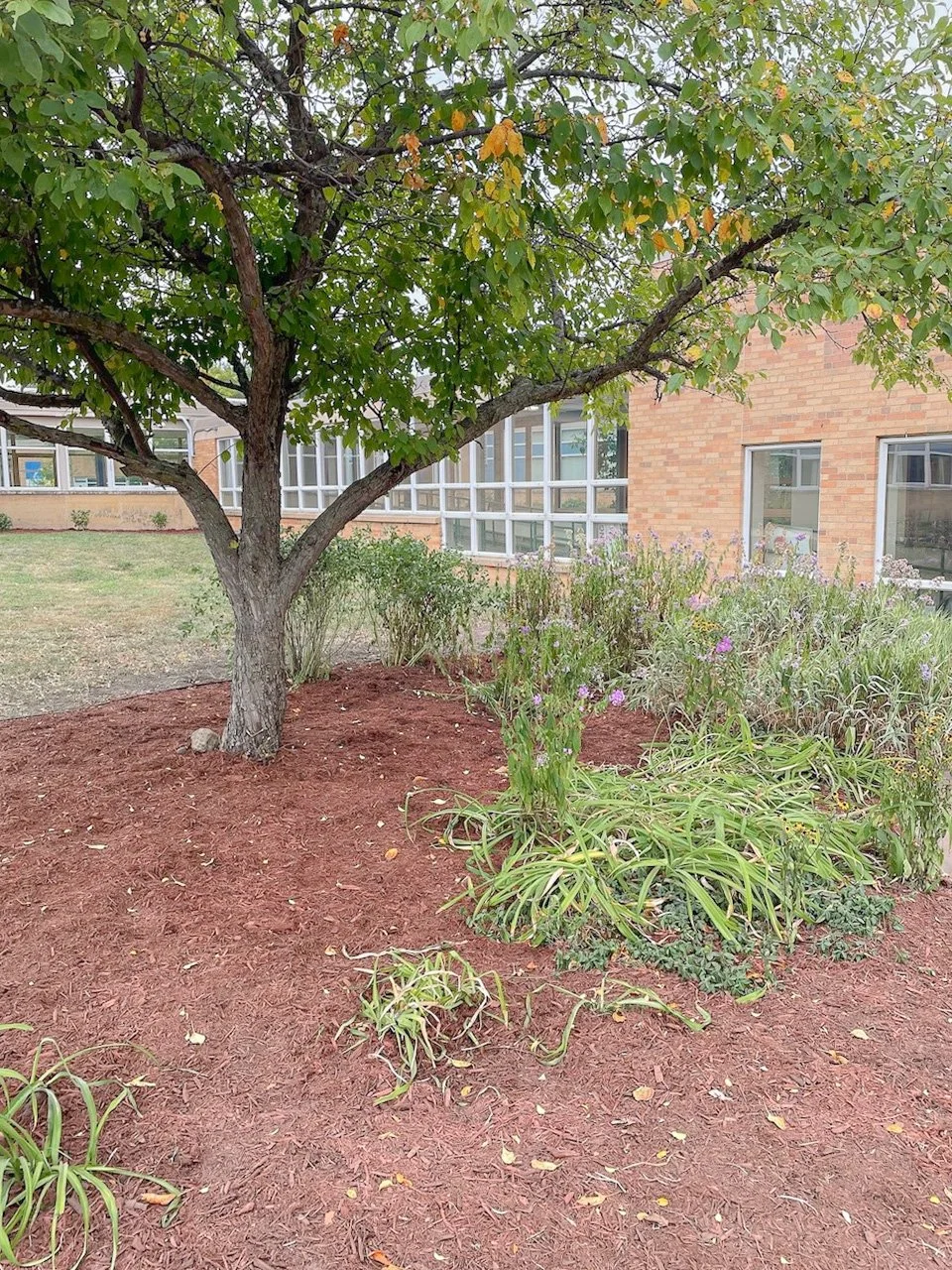 BMNA - RMS School Project - 1.jpg