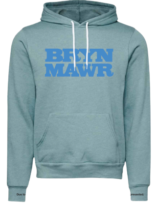 Bryn Mawr Lagoon Hoodie