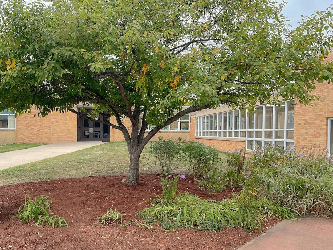 BMNA - RMS School Project - 3.jpg