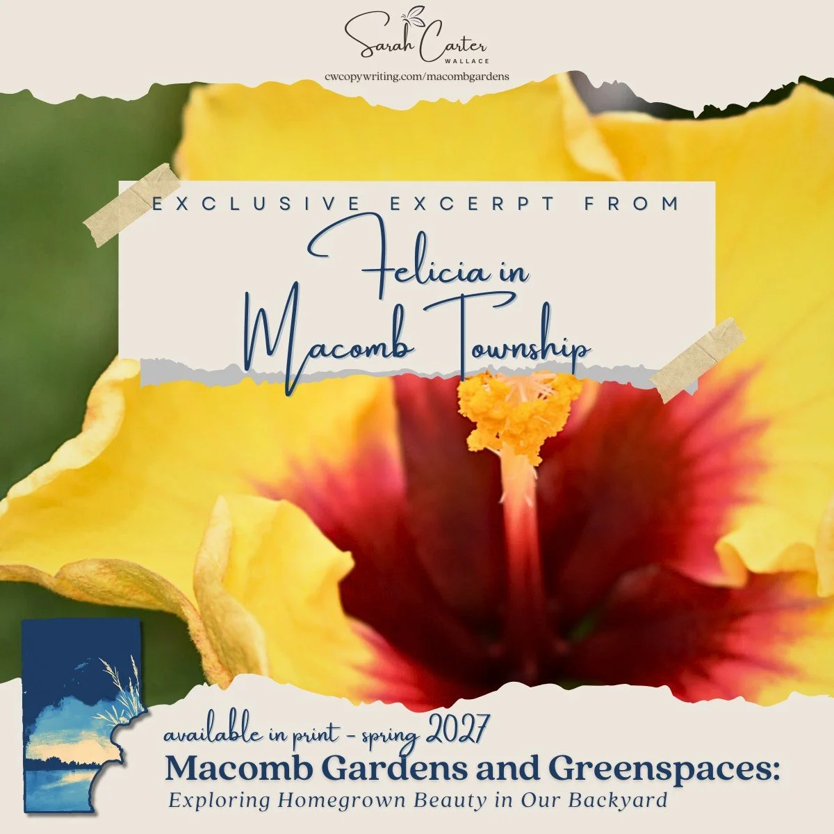 EXCLUSIVE EXCERPT ~ Felicia from Macomb Township is a green thumb with STYLE ✨ I can't wait for you to see her gorgeous property next spring when Macomb Gardens &amp; Greenspaces goes to print. Species and colors are carefully coordinated, natural ma
