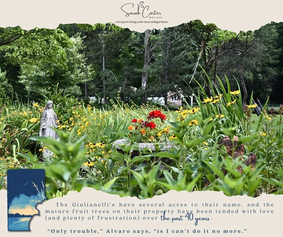 Over 40 years of know-how and hard work have gone into Mr. Alvaro Giulianelli's backyard orchard and garden. Now in his *ninth* decade of life and still tending the land, he's full of frank -- and often funny -- advice for readers. I can't wait to sh
