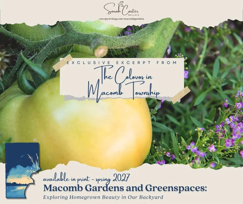 The Colovos have planted their roots in Macomb Township and their little family - and certainly Mom's garden - are thriving! 💚 After interviewing Kali, I came away with a lot of plant and parenting ideas to try out for myself. (This year I am attemp