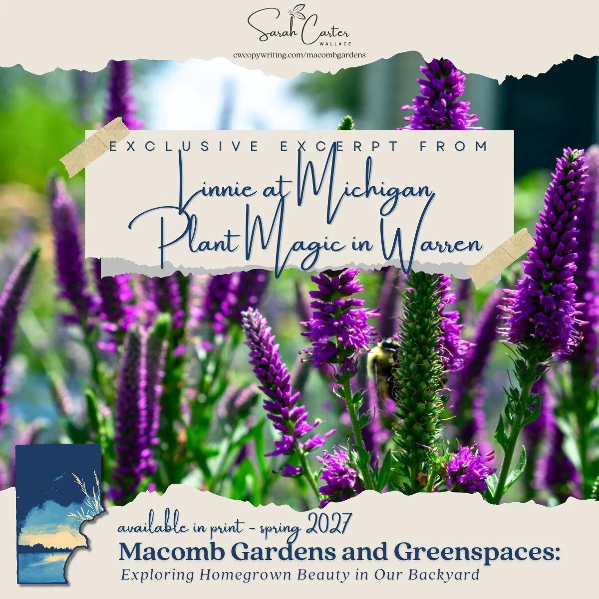 SNEAK PEEK: Linnie's almost-acre garden in Warren is unique. ✨ Not just because of the rare species she plants, but because she runs her own bouquet subscription business out of her backyard! I highly recommend locals who love long-lasting floral arr