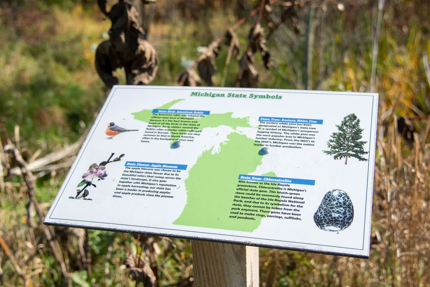 An outdoor sign showcases Michigan State symbols such as a Robin (bird) and Petosky stone