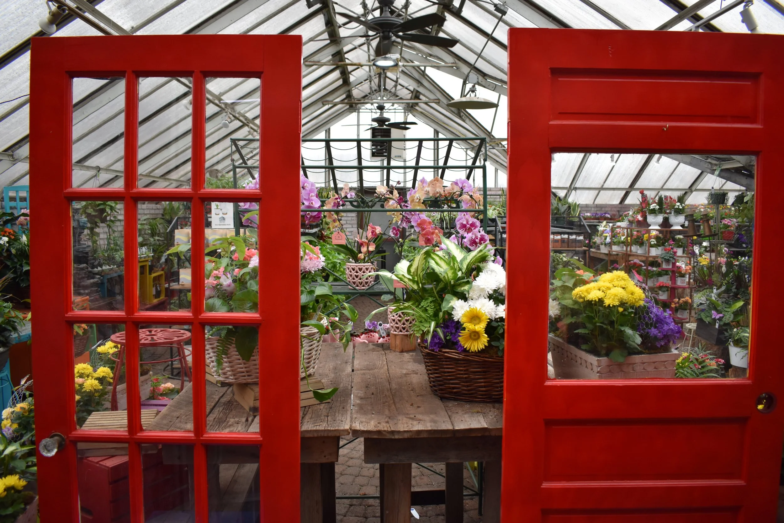 Two bright red doors frame the entrance of a brightly lit greenhouse packed with premium floral arrangements