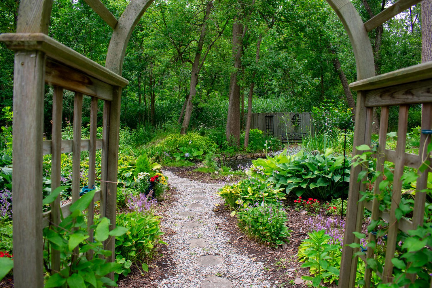 Arched wooden arbor leads to gravel path, deeply green and woodsy