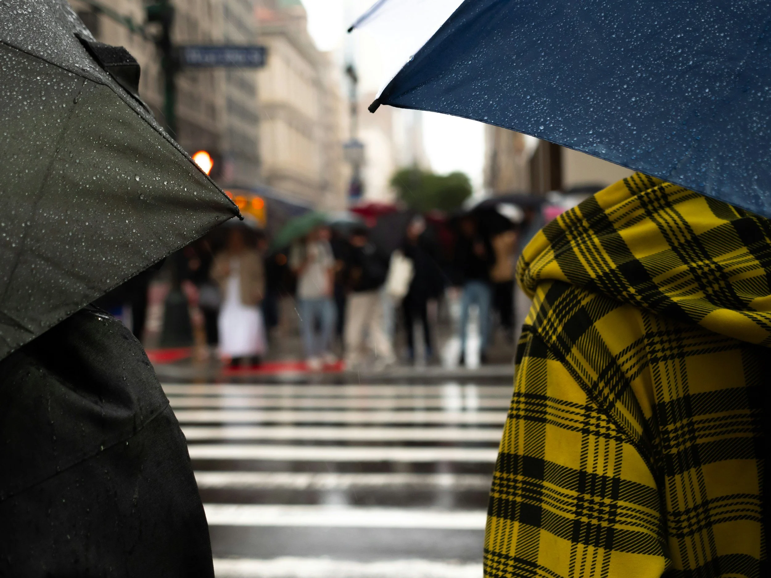 Partnership and Shareholder Disputes in NYC: How to Protect Your Business and Your Rights