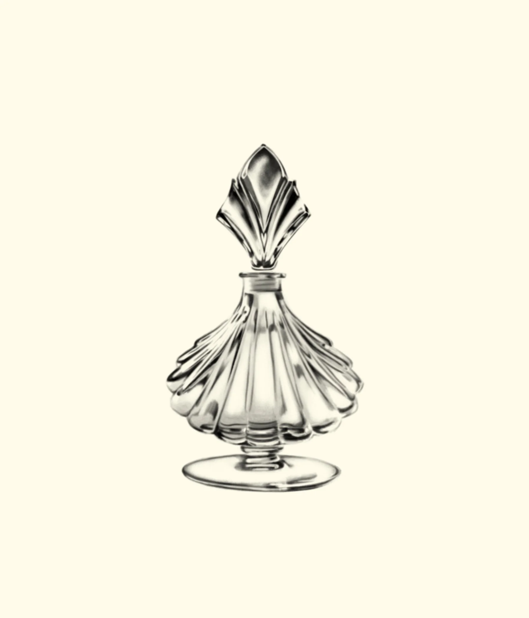 Untitled_Artwork 33 copy 2.jpg