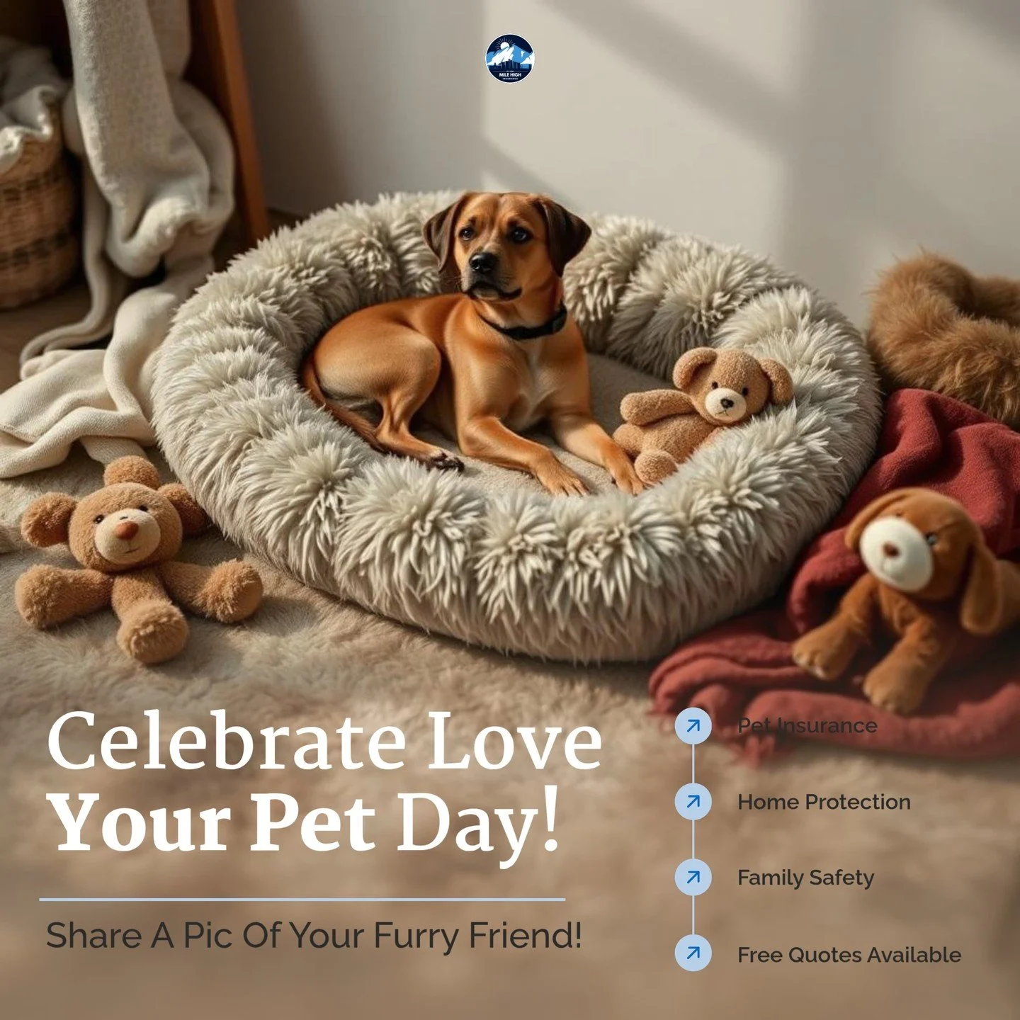 This Love Your Pet Day, let&rsquo;s celebrate our furry friends! 🐾 Did you know that pets can impact your home insurance? Proper pet protection is essential to ensure a safe environment for your family and your beloved companions. 

Larson offers ta