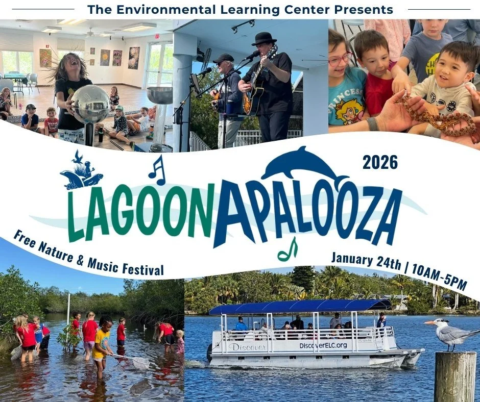 🎉🌊 LAGOONAPALOOZA IS BACK! 🌊🎉

Join us for our FREE Annual Nature &amp; Music Festival in Vero Beach, Florida, fun for all ages!

🕙 Time: 10:00 AM &ndash; 5:00 PM
📍 Location: 255 Live Oak Drive, Vero Beach, FL
📞 For more information: 772-589-5