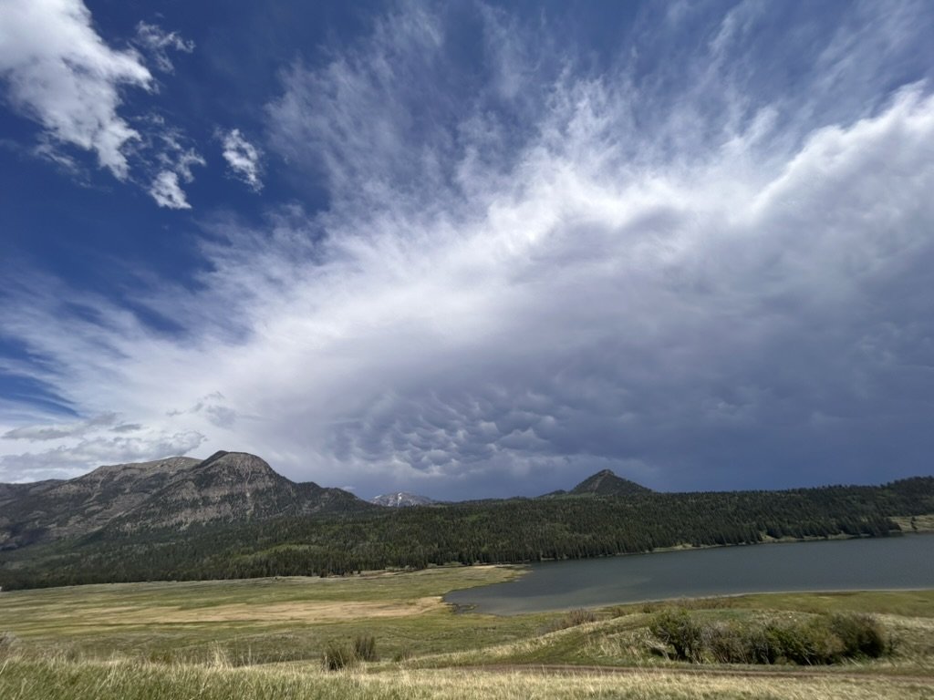 Sorting It Out: When Medicine, Advice, and Worry All Start to Blur