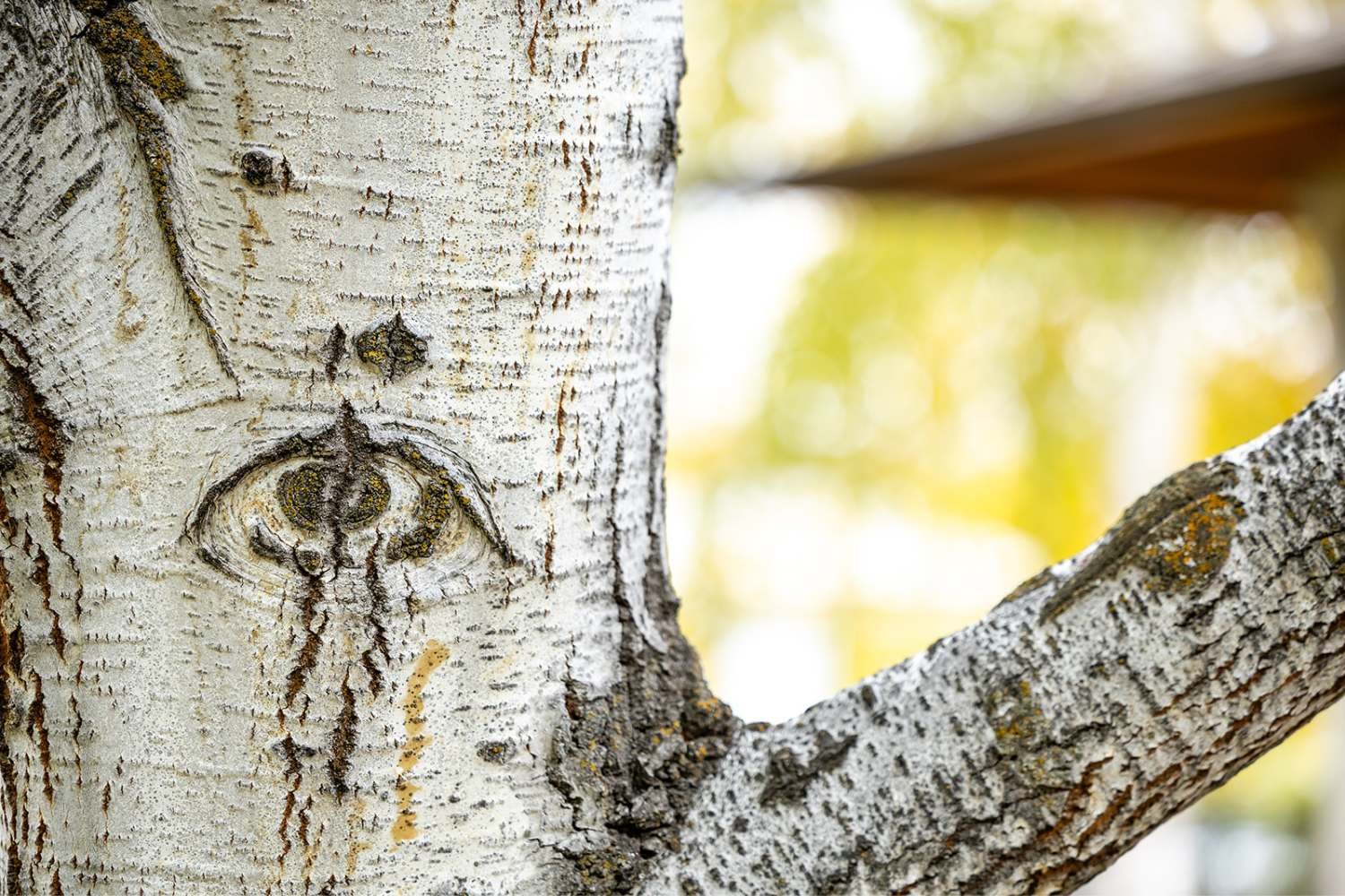 Mental Health Support in Missoula, MT: What to Know Before You Start