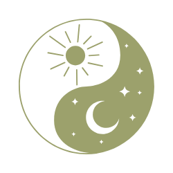 holistic approach icon