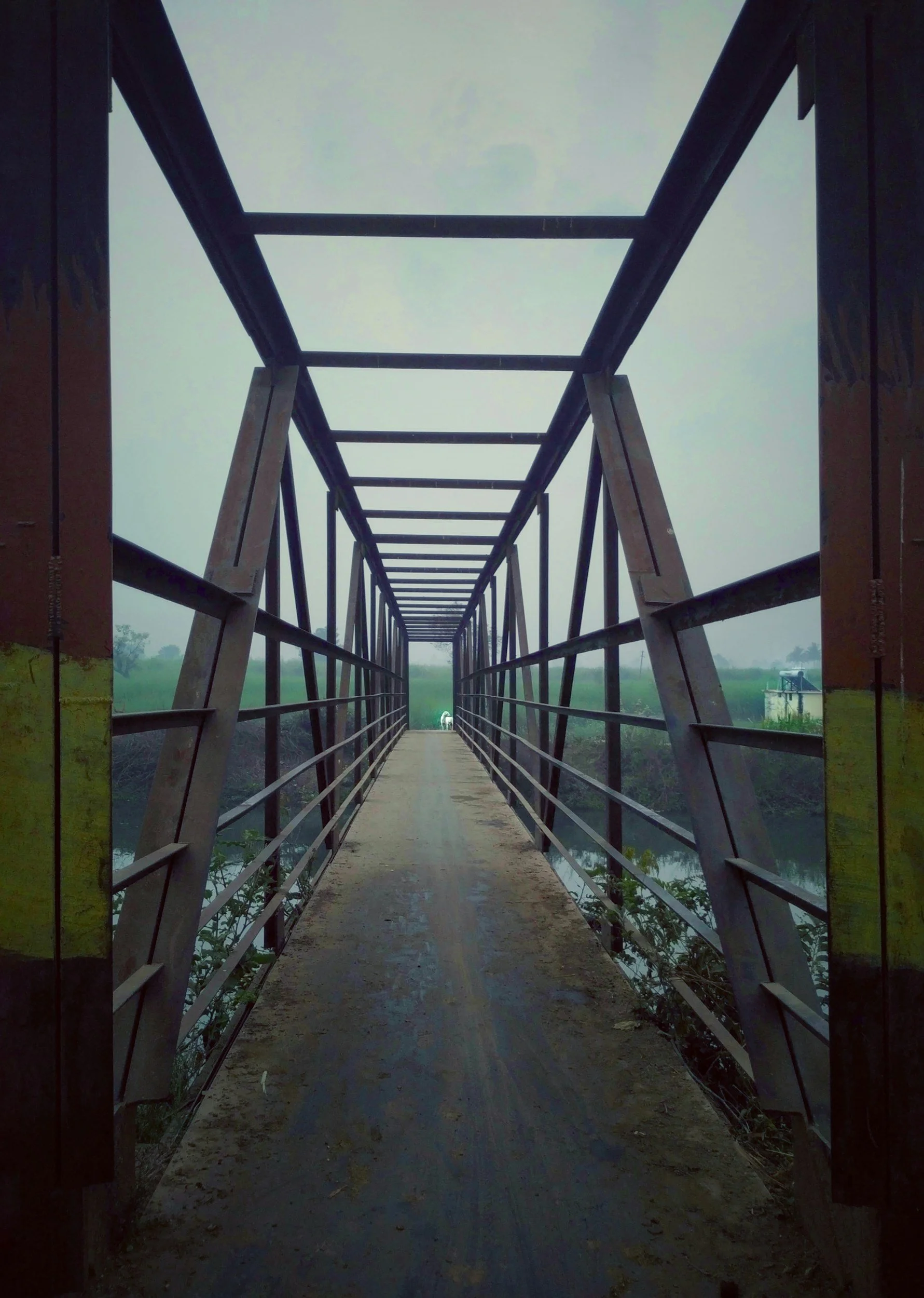 The Bridge Out of Survival Mode