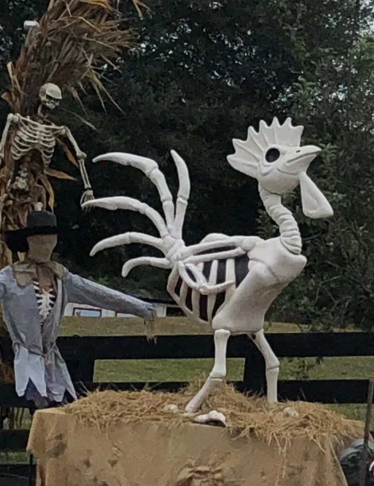 FARMHOUSE  SKETCH AND PUMPKIN CARVING DAY