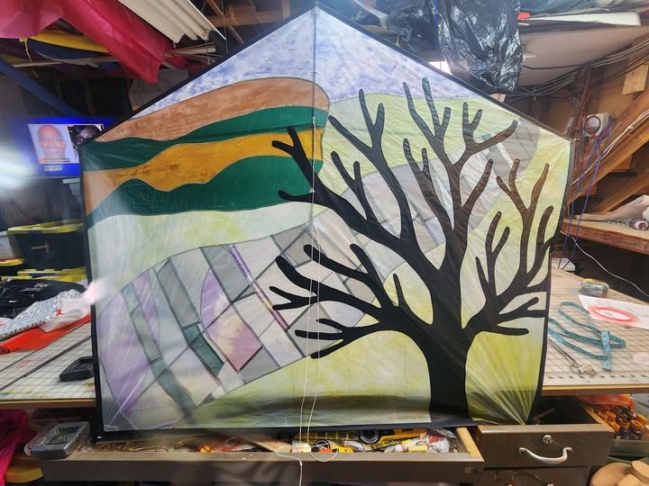 Barbara Meyer Osseo, Minnesota “Both Sides of the River”
Barb, another past AKA president, is a very talented kite builder that chose a complex subject for the YRPA exhibit. On one side of the Yellowstone River is a large old tree. Then you see t