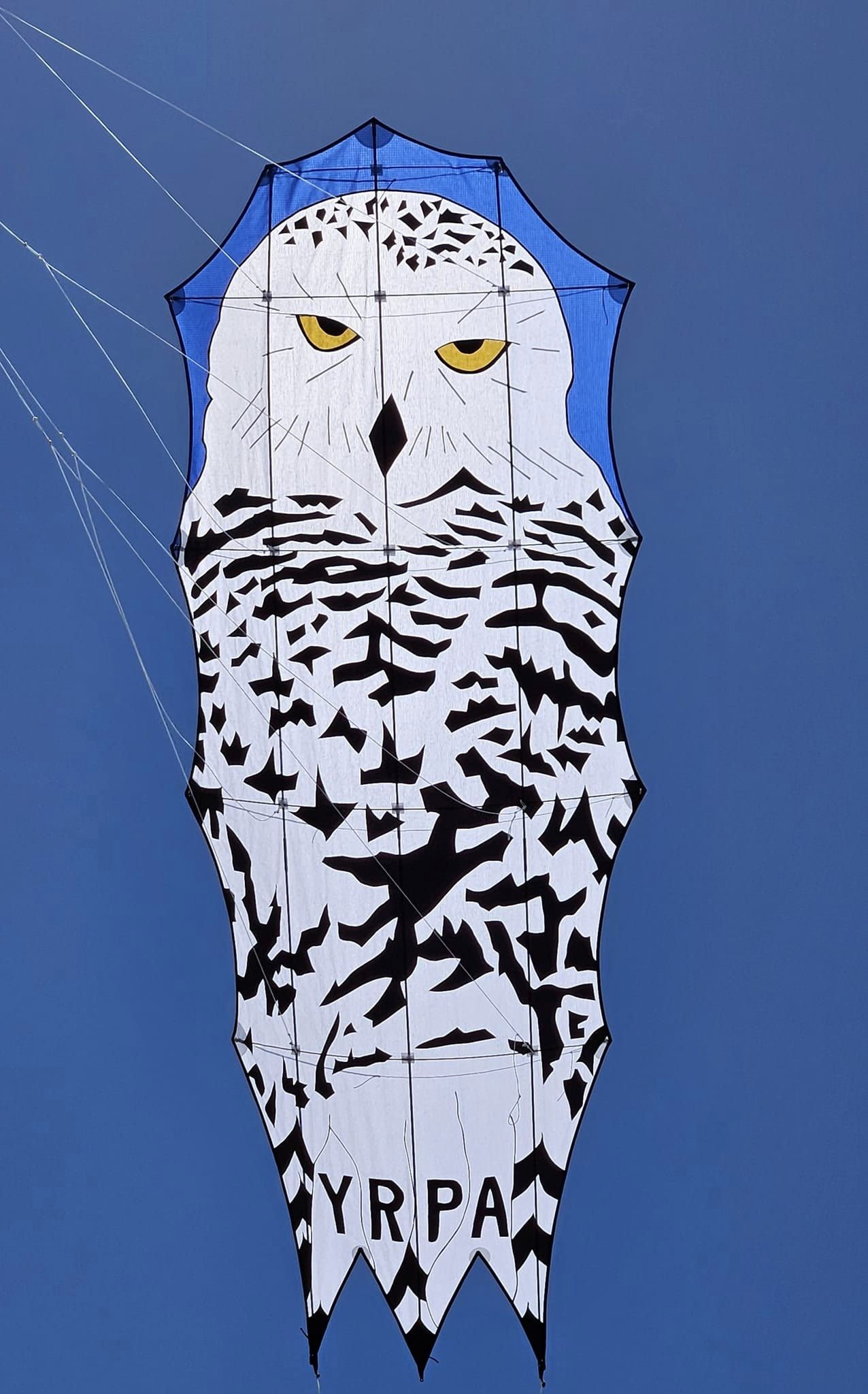 Deb Lenzen and Mike Shaw. Flagstaff, Arizona. “Snowy”
Everyone loves Snowy owls and Deb and Mike created a fabulous one. Eight feet tall and about three feet wide, Snowy has a saucy expression on her face and YRPA on the bottom of her tail. Deb c