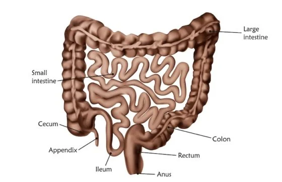 Exploratory Laparotomy Surgery Scheduled 