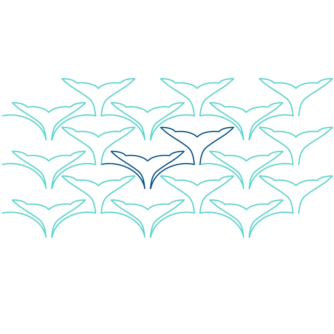 Whale Watching