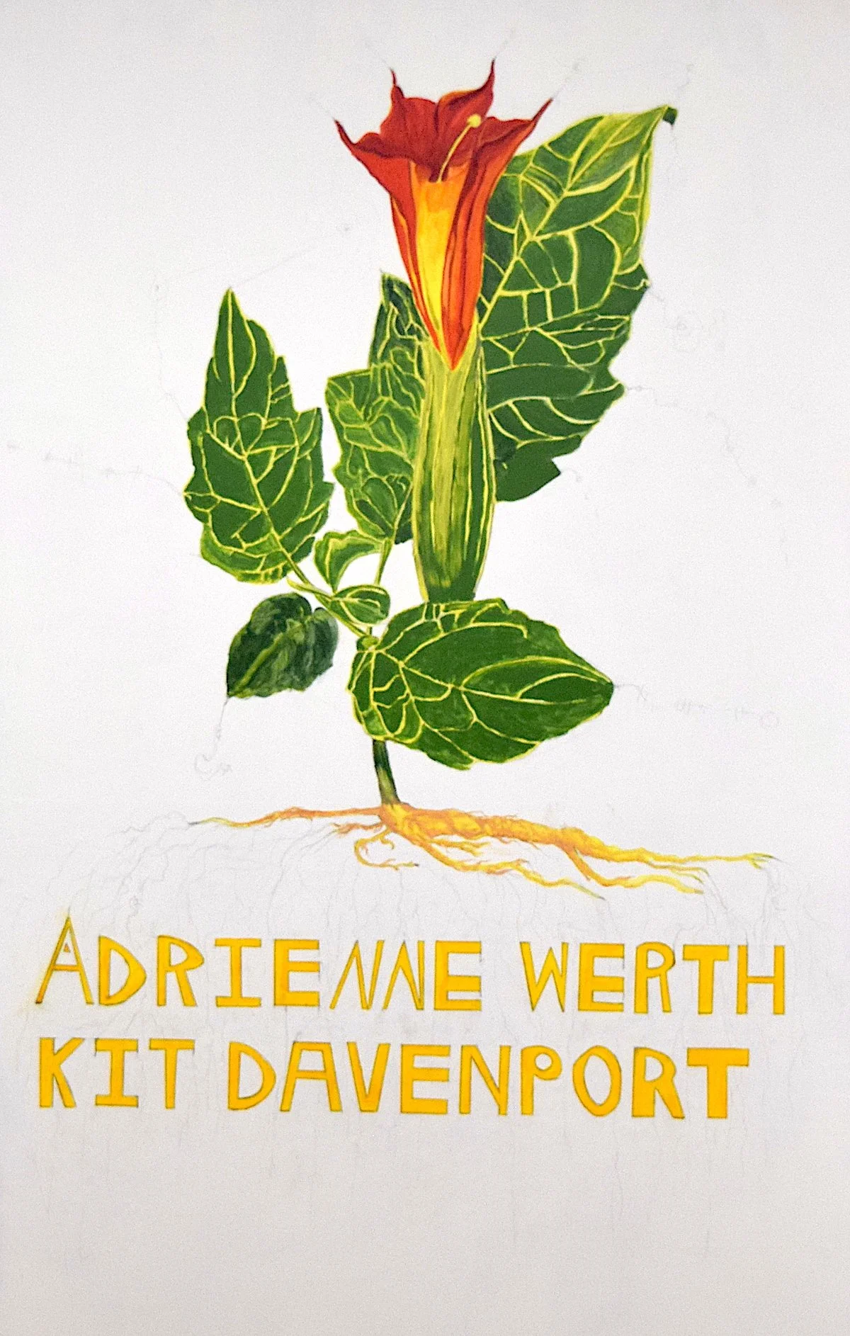 Kit Davenport & Adrienne Werth