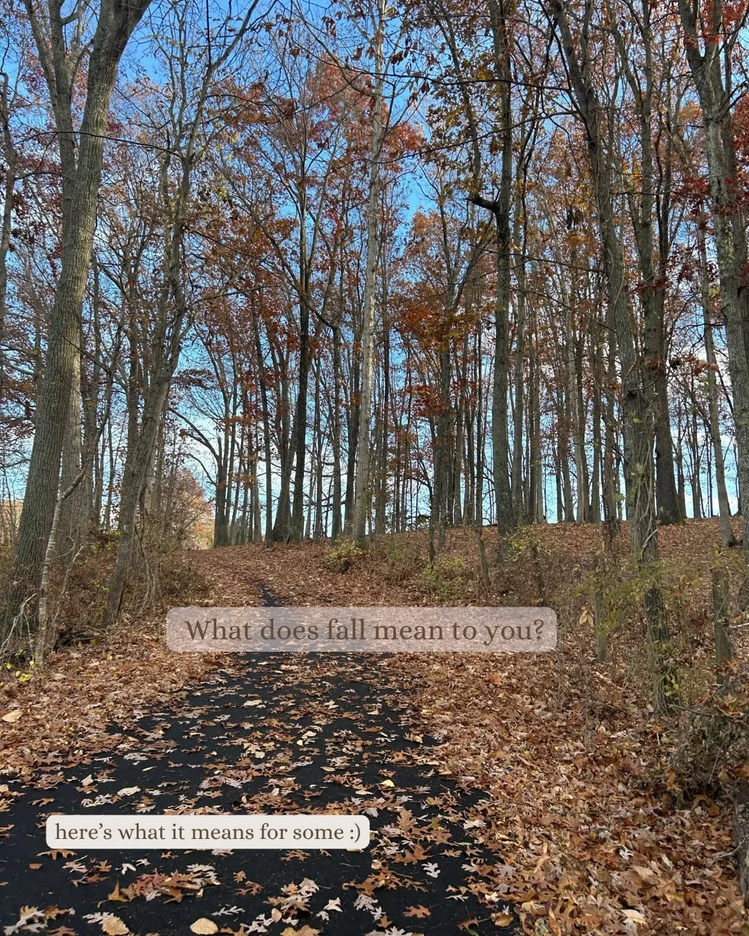 What does fall bring?
🍂🍁🌲🌞💧📚📓🍎🍏