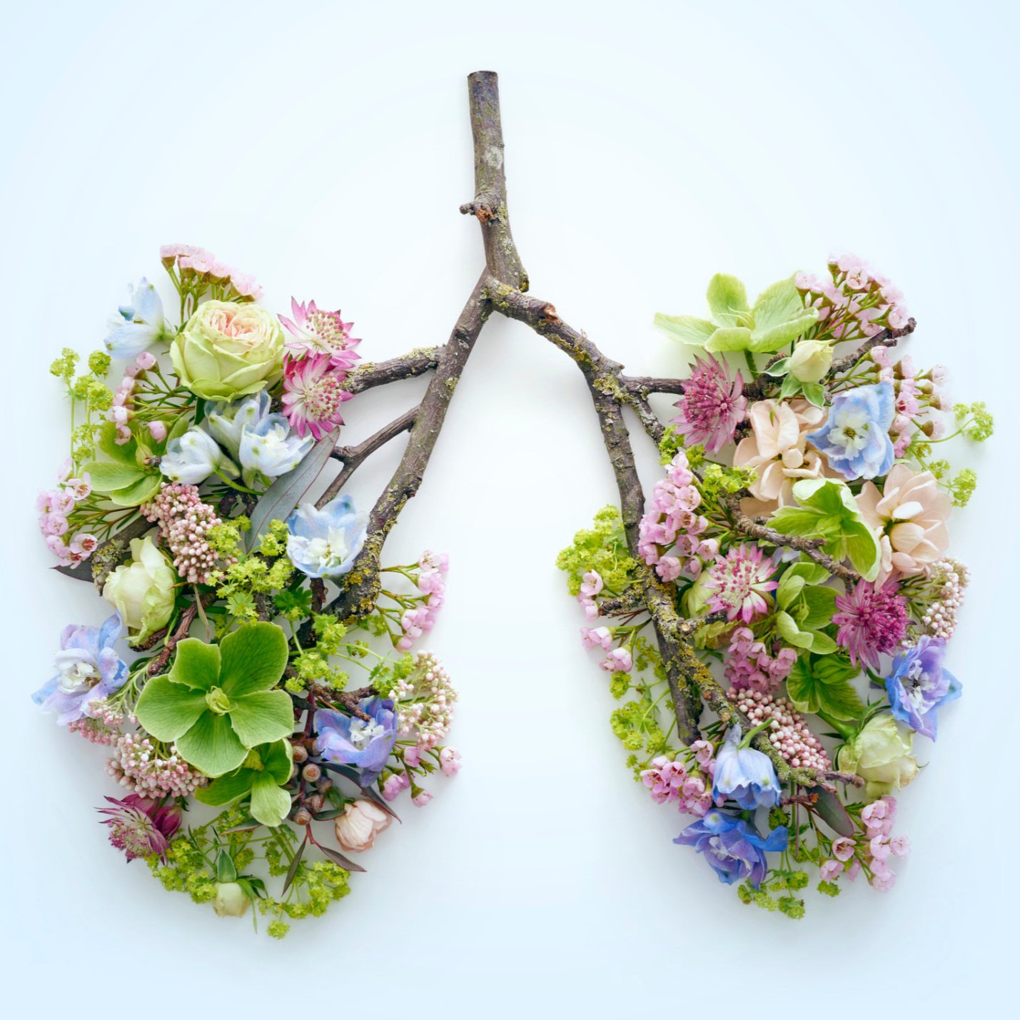 RWI+Lungs+Portrait.jpg