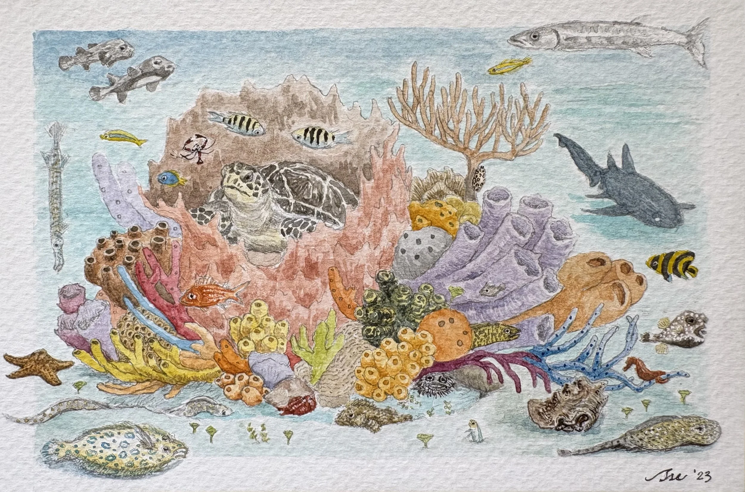 JUST COZ(UMEL) (2023), waterolor on paper, 4 x 6 in