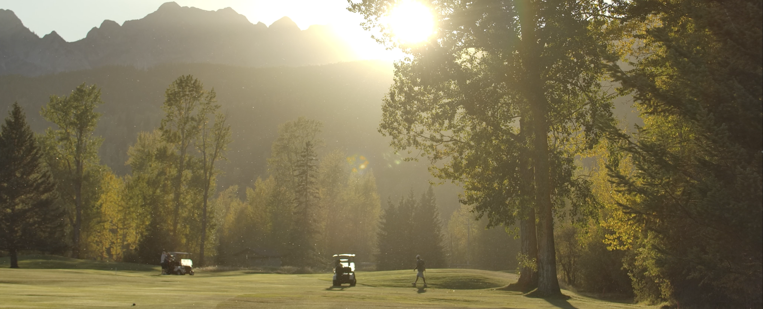 Screenshot 2026-02-17 at 2.49.29 PM.png