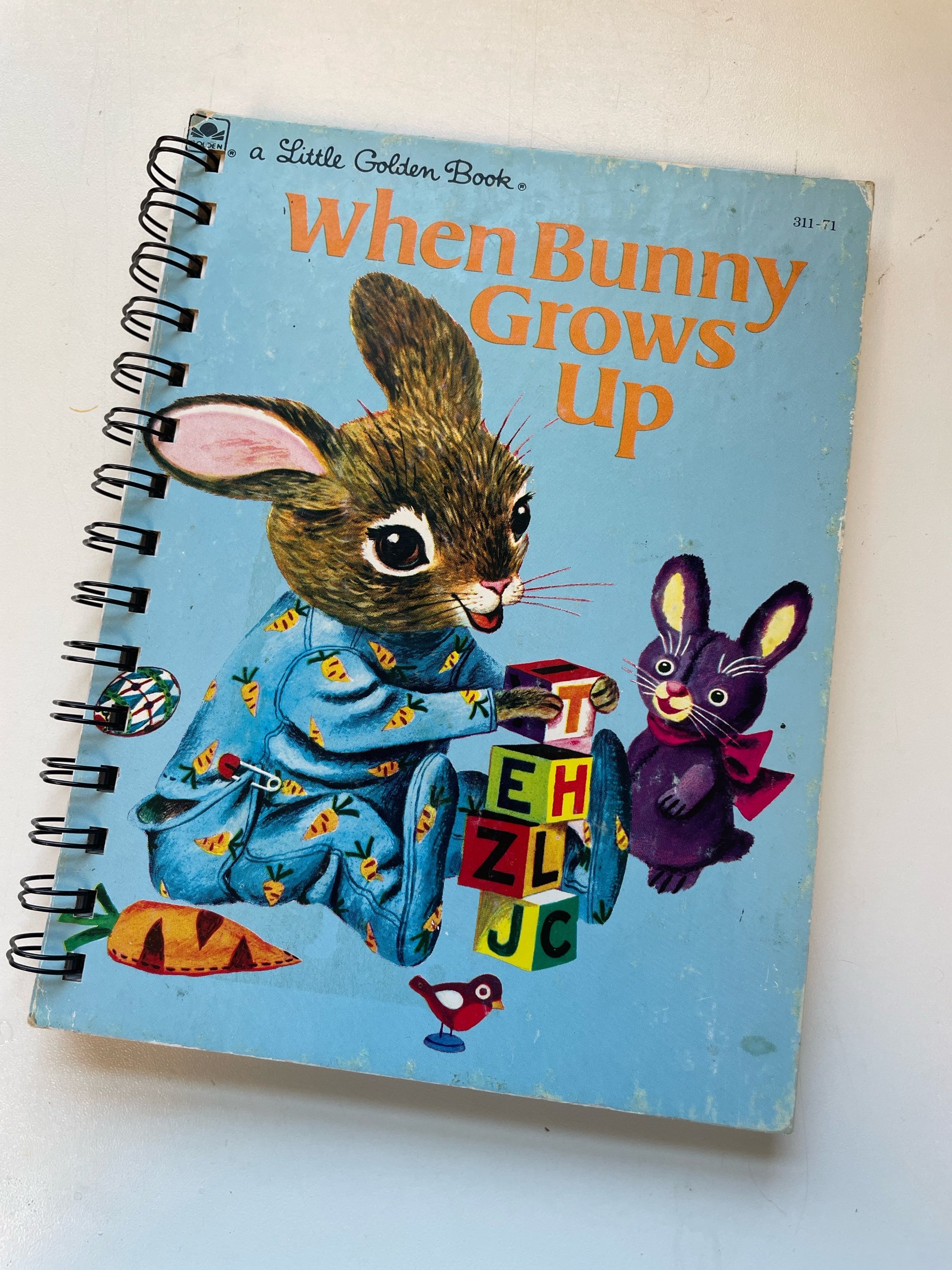 When Bunny Grows Up Journal.jpeg