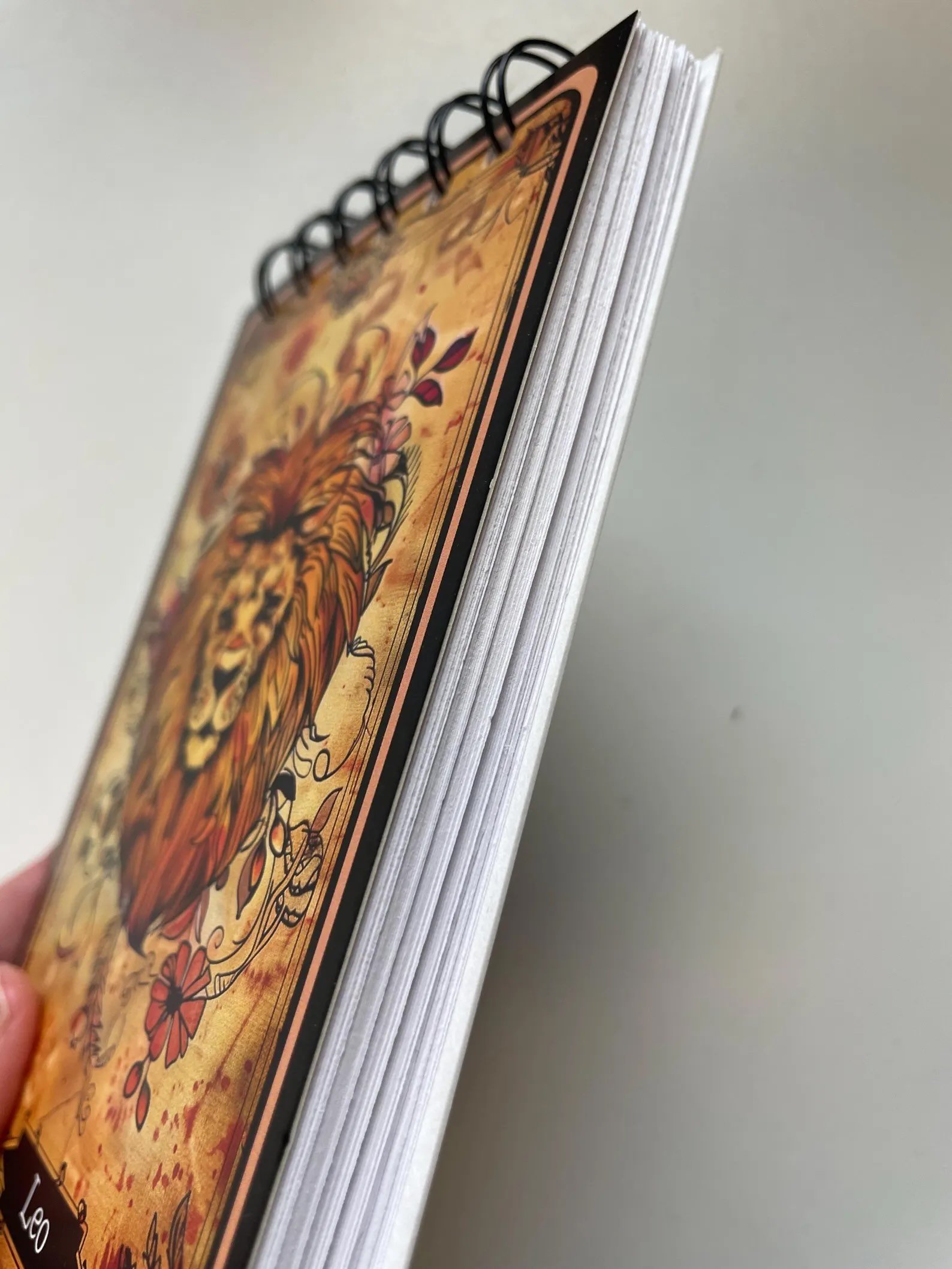 Leo notebook side view.jpeg